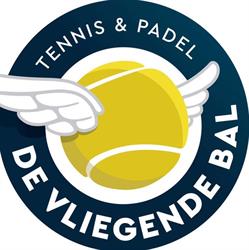 De Vliegende Bal, Sneek openingstijden