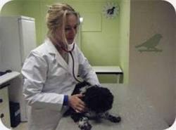 Blijdorp Dierenkliniek, Rotterdam openingstijden