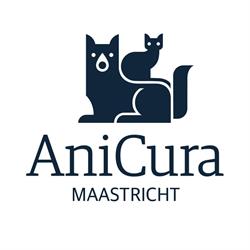AniCura dierenartsen Maastricht en Kattenhotel De Gelaarsde Kat, openingstijden