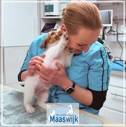 Maaswijk Dierenkliniek, Spijkenisse openingstijden