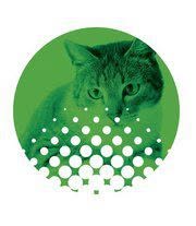 Dierenkliniek Marnixstraat, Haarlem openingstijden