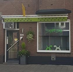 Trimsalon DoggyDog, Maastricht openingstijden