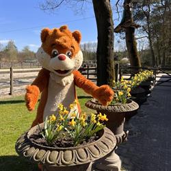 Duinoord Partycentrum, Helvoirt openingstijden