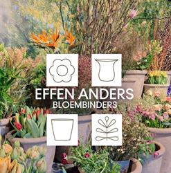 Effen Anders Bloembinders, Aalten openingstijden