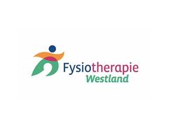 Fysiotherapie Westland, Naaldwijk openingstijden