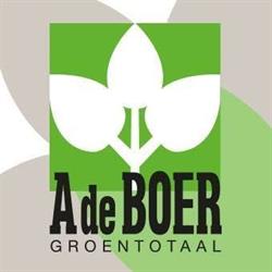 Groentotaal A de Boer, Assen openingstijden