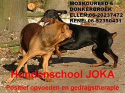 Quiebus hondenschool JOKA, Donkerbroek openingstijden