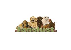 Janslust, Veulen openingstijden
