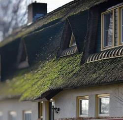 Hotel de Joremeinshoeve, Kaatsheuvel openingstijden
