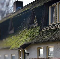 Hotel de Joremeinshoeve, Kaatsheuvel openingstijden