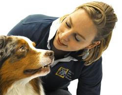 Dierenartsenpraktijk Kliniek Voor Dieren Woerden, openingstijden
