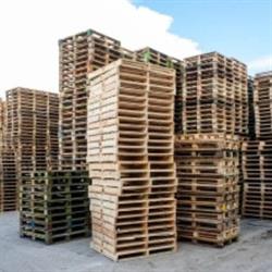 Koekkoek Pallethandel H, Slagharen openingstijden