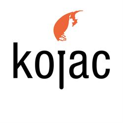 Kojac Adviesbureau, Delft openingstijden