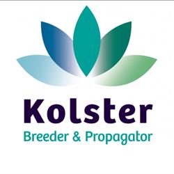 Kolster Bv, Boskoop openingstijden