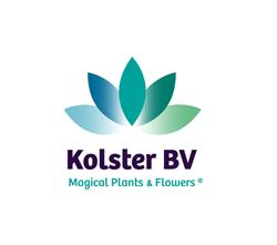 Kolster Bv, Boskoop openingstijden