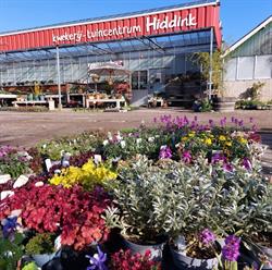 Hiddink Kwekerij-Tuincentrum, Sinderen openingstijden