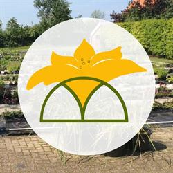Kwekerij Sluishoek, Borssele openingstijden