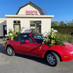 Camping Le Parage, Noordwijk openingstijden