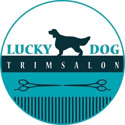Lucky Dog Trimsalon, Hengelo openingstijden