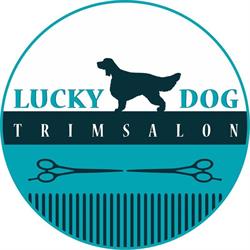 Lucky Dog Trimsalon, Hengelo openingstijden