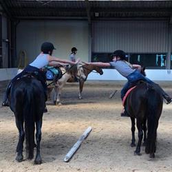 Gerner Manege, Dalfsen openingstijden
