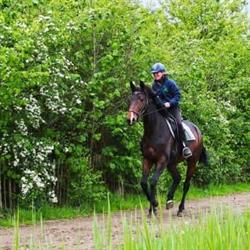 Groenewoude Manege, Woudenberg openingstijden