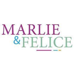 Marlie & Felice Bv, Alphen aan den Rijn openingstijden