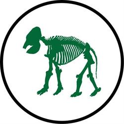 Natuurhistorisch Museum Rotterdam, openingstijden