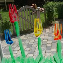 Ons Marieke Kinderopvang, Huijbergen openingstijden