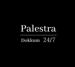 Palestra Dokkum, openingstijden