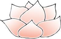 Lotus, Praktijk Voor Massagetherapie en Healing, Apeldoorn openingstijden