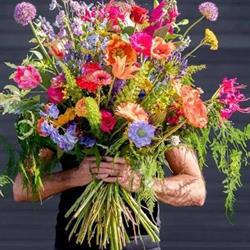Exoo Bloemen Robert, Zwolle openingstijden