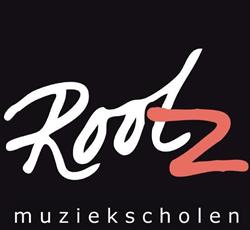 Rootz Muziekschool (Delft Pijnacker), openingstijden