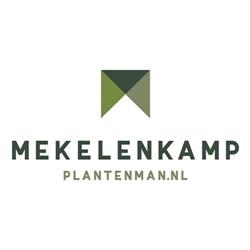 Mekelenkamp I plantenman.nl - Interieurbeplanting, Ede openingstijden