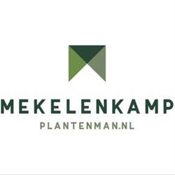 Mekelenkamp I plantenman.nl - Interieurbeplanting, Ede openingstijden