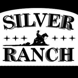 Western Silver Ranch Manege, Oosterwolde openingstijden