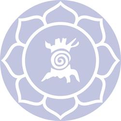 Solide Yoga, Wateringen openingstijden