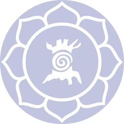 Solide Yoga, Wateringen openingstijden