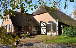 TUK'S T-HUIS, Tuk openingstijden