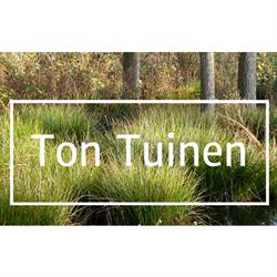 Ton Vissers Tuinontwerp, Haarlem openingstijden