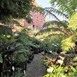 Tuingoed Foltz, Meeden openingstijden