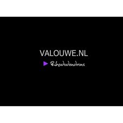 Rhododendroncentrum De Valouwe, Wekerom openingstijden
