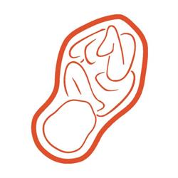 Verloskundige Groepspraktijk Helmond, openingstijden