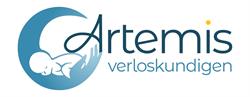 Artemis Praktijk voor Verloskunde, Delfzijl openingstijden