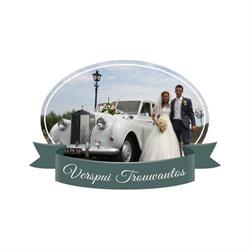 Verspui Trouwauto's H C, Giessenburg openingstijden