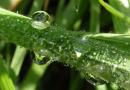 Praktijk Voor Klassieke Homeopathie Hannie Van de Ven, Veghel openingstijden