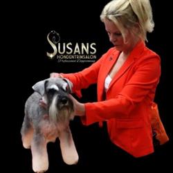 Susans Hondentrimsalon, Oosterhout openingstijden