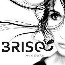 Brisq art & Design, Zoetermeer openingstijden