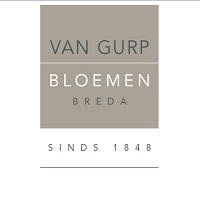 van Gurp Bloemen, Breda openingstijden