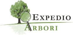 Expedio Arbori, Raalte openingstijden